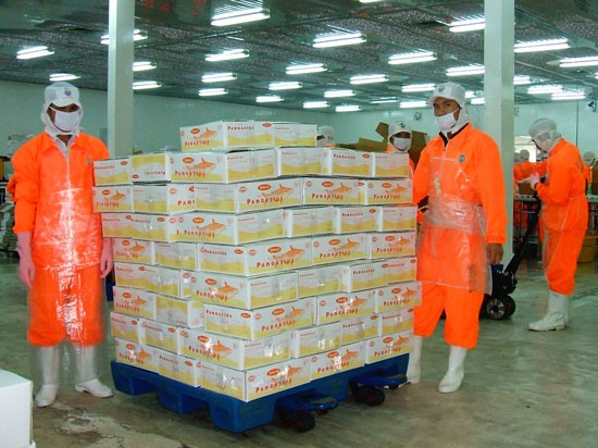 Tra fish is packed for exports (Photo: SGGP)